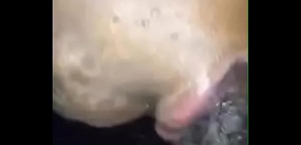  Sucking DL NewYork Dick